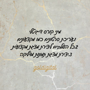 עריכת סרטונים מקצועית בINSHOT